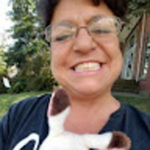 Meet your Posher, Lee